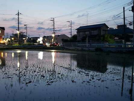 風吹き抜ける田園「岡上営農団地」