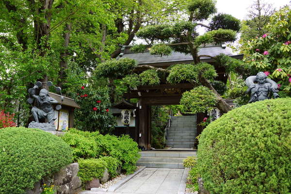 花と緑と水があふれるお寺の画像