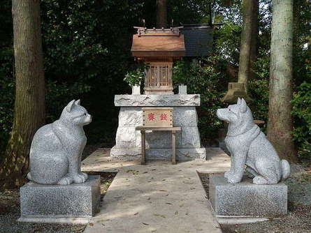 ペット愛好家必見！全国でも珍しいペットのお参りができる「座間神社」へ行こう