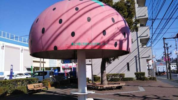 街中にイチゴのパラソル！？の画像
