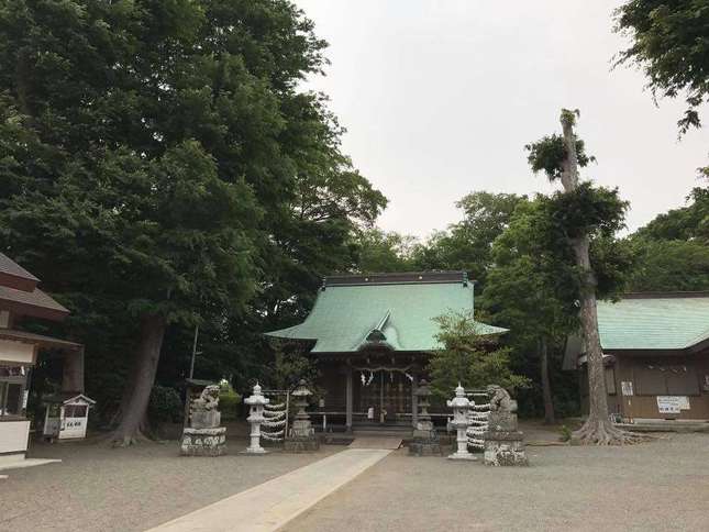 有鹿神社の境内