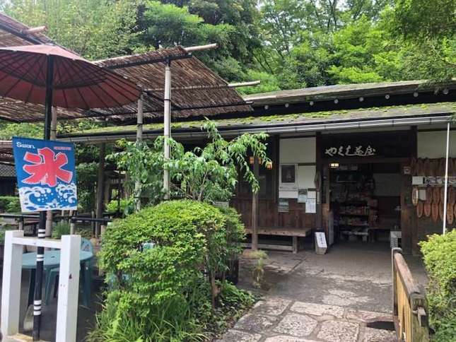 「日本の歴史公園100選」にも選出！町田市を代表する公園「薬師池公園」をご紹介