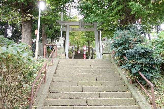 弥生神社の石階段と鳥居