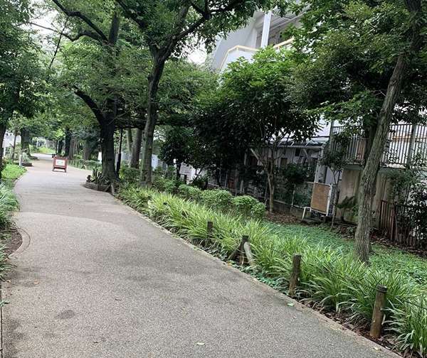 鳥山川緑道 経堂付近の画像