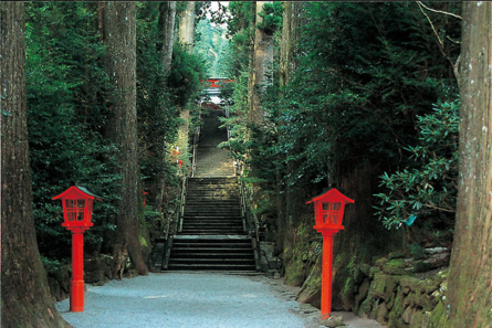 「箱根神社」と「九頭龍神社」を参拝して運気UP！