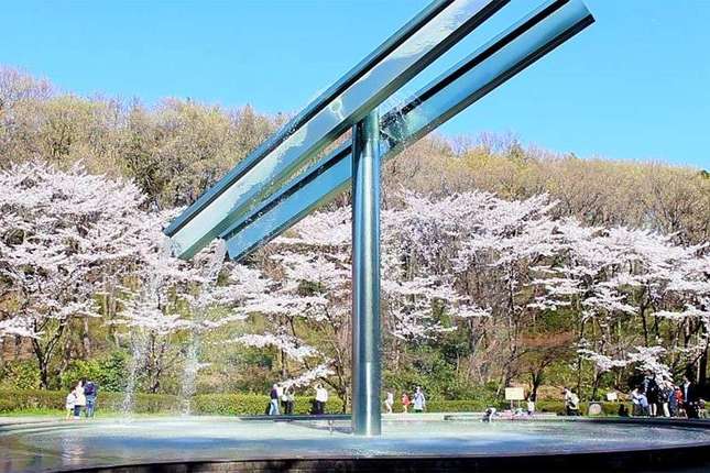 広大な自然に癒やされたい時は大人も子どもも楽しめる「芹ヶ谷公園」へ！