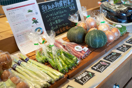 朝どれ野菜販売開始しました！