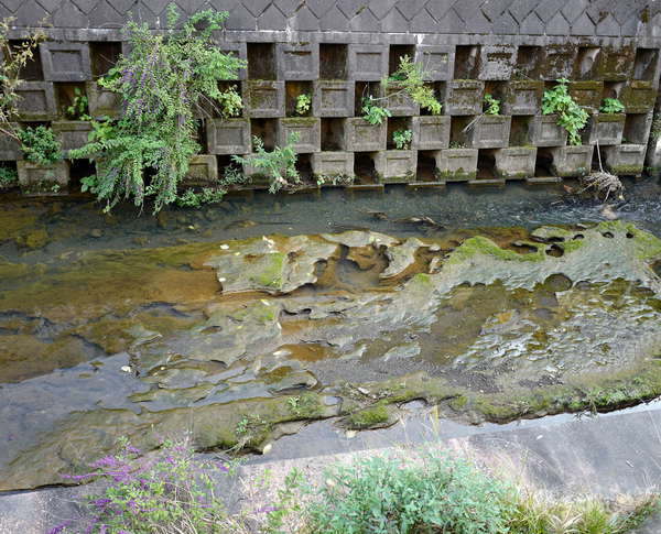 五反田川の甌穴群の画像