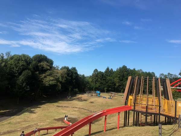 大きなローラーコースターのある公園の画像