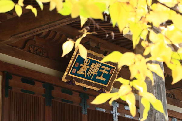 雨の王禅寺の画像