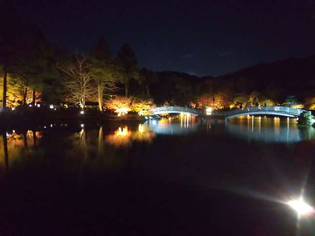 ライトアップされた薬師池公園の夜景