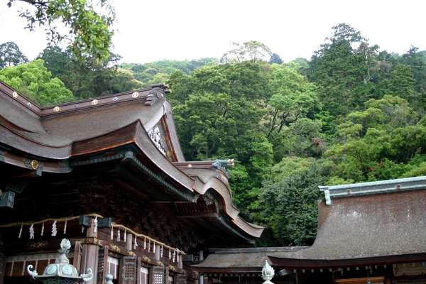 新百合ヶ丘エリアの神社8選！初詣やパワースポット巡りにオススメの画像