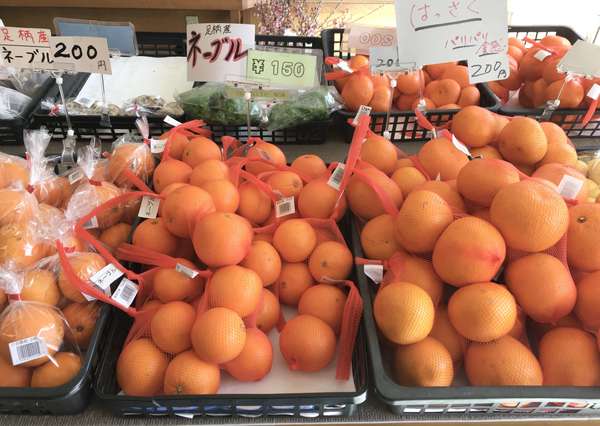 新鮮な果物や野菜がいっぱいの画像