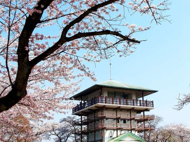 枡形山の展望台と桜