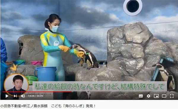 【プレゼント企画あり】新江ノ島水族館＆小田急不動産のコラボ動画を配信！の画像