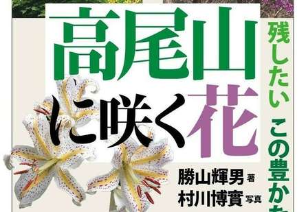 「高尾山に咲く花」片手にハイキングをしたい季節です