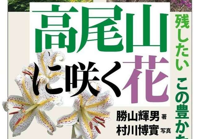 「高尾山に咲く花」片手にハイキングをしたい季節です