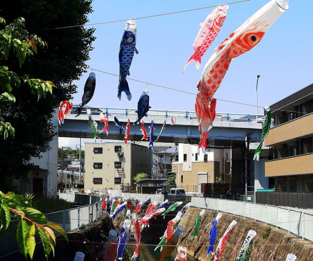 五反田川沿いに季節の風物詩 こいのぼり！