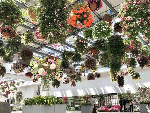 花好きにはたまらない！の画像
