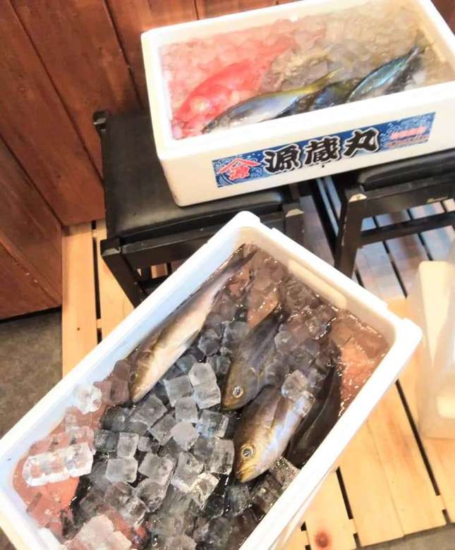 やっぱり小田原 魚が旨い やぱおだ さん 小田急のくらし 小田急不動産株式会社
