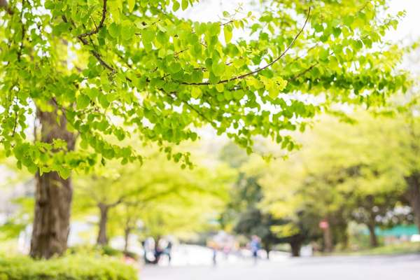 千歳船橋周辺の公園スポット8選！散歩や子供と遊べる穴場もご紹介♪の画像