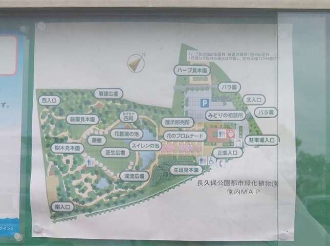 公園の地図