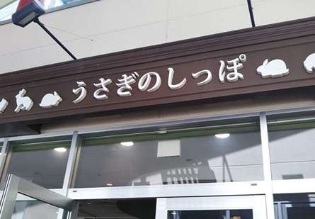 かわいいうさぎに出会えるお店「うさぎのしっぽ」