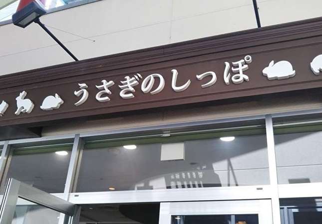 かわいいうさぎに出会えるお店「うさぎのしっぽ」