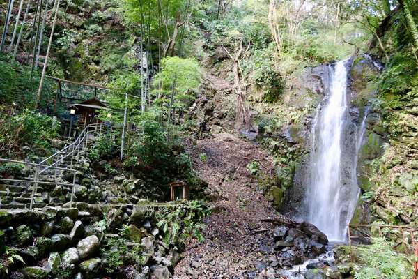 都会から離れてマイナスイオンを感じよう！山北町「洒水の滝」の魅力をお届けの画像