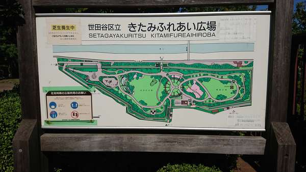 子連れで1日遊べる公園の画像