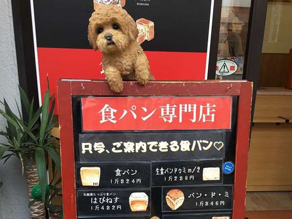 食パンの専門店の画像