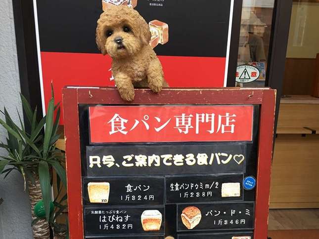 「食パン専門店」と書かれた看板