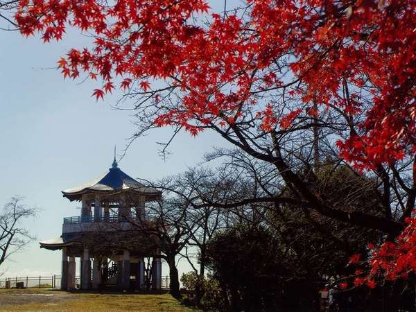 都心からのアクセス抜群！秦野「弘法山公園」で日帰りハイキングを楽しもうの画像