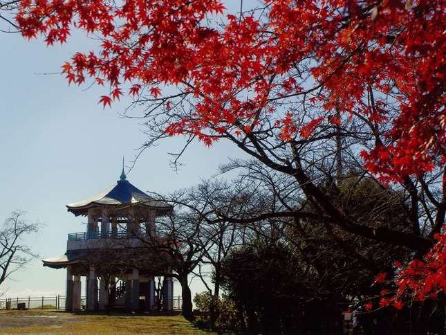 都心からのアクセス抜群！秦野「弘法山公園」で日帰りハイキングを楽しもう