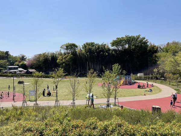 子どもに目が届く、新しくてきれいな公園でピクニックの画像