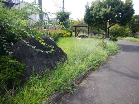 せせらぎの公園