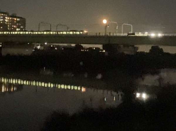 夜の多摩川沿いお散歩の画像