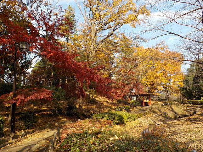 川沿いに広がる緑のオアシス！「祖師谷公園」でさまざまな秋を楽しもう！