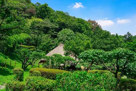 歴史や自然とたっぷり触れあえる！「薬師池公園」で秋を楽しもう！