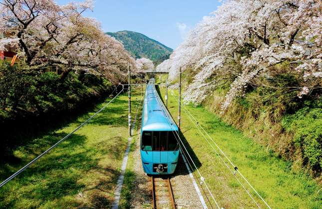 最速70分で都会から箱根の旅へ！小田急ロマンスカーの魅力とおすすめスポット