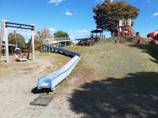 家族で1日遊べちゃう！「おおね公園」の画像