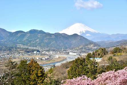 海と山の自然に囲まれた「松田山ハーブガーデン」でリフレッシュしよう！