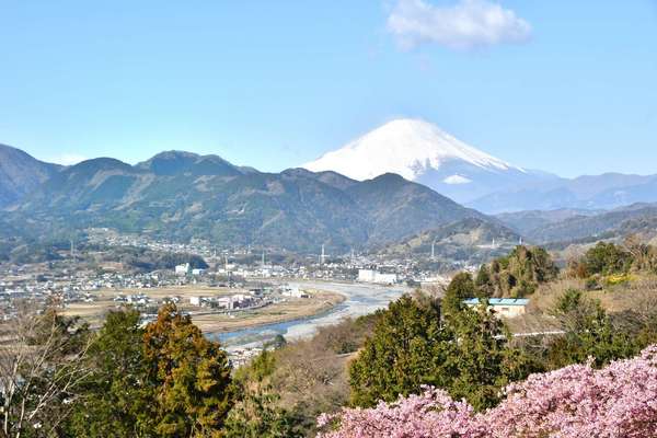 海と山の自然に囲まれた「松田山ハーブガーデン」でリフレッシュしよう！の画像
