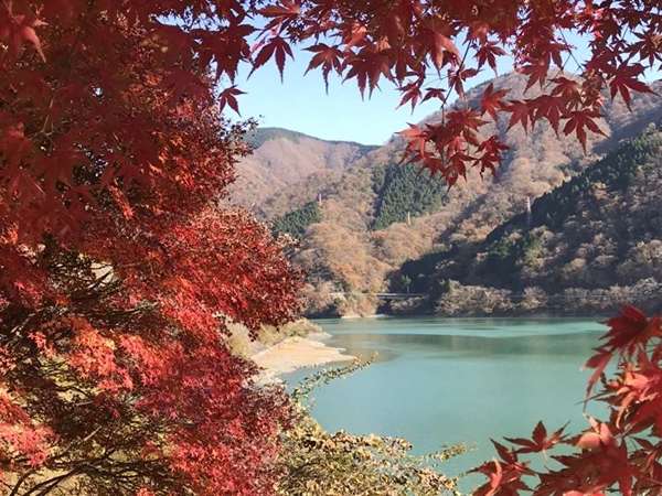丹沢湖紅葉の画像