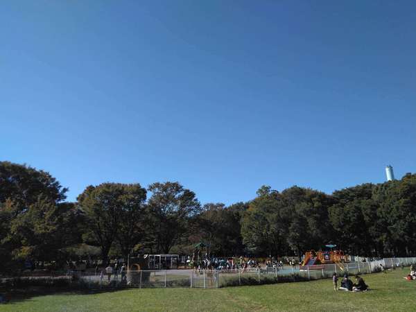 1日家族でゆっくり過ごせる砧公園の画像