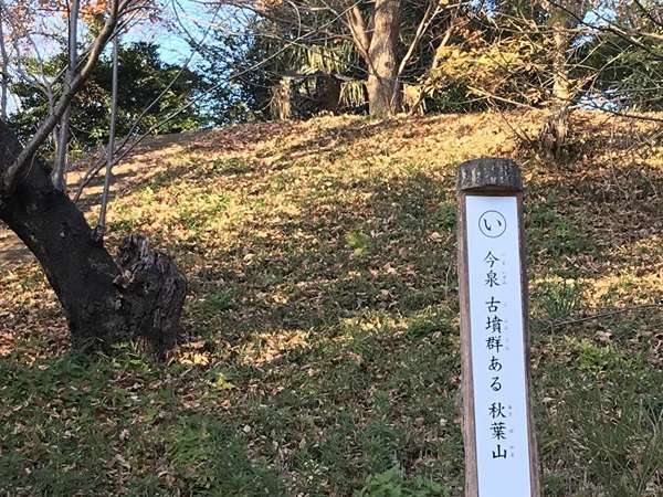秋葉山古墳群の画像