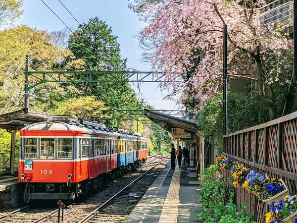美しい冬の箱根を駆け抜ける！雪山を行く箱根登山鉄道の魅力を紹介！の画像