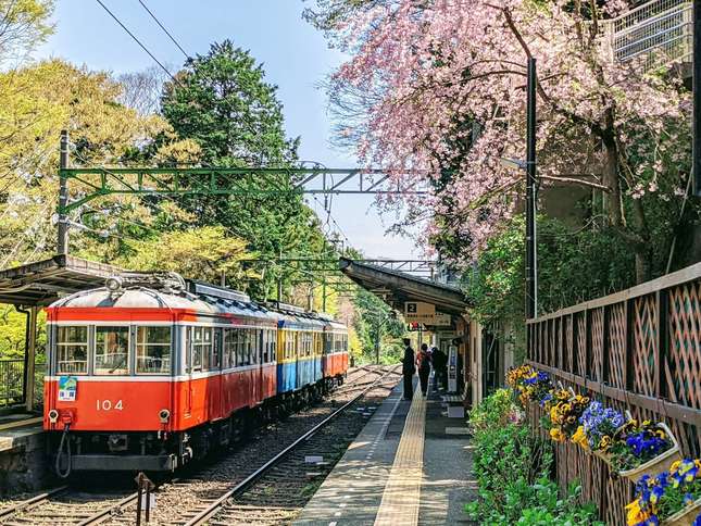 美しい冬の箱根を駆け抜ける！雪山を行く箱根登山鉄道の魅力を紹介！