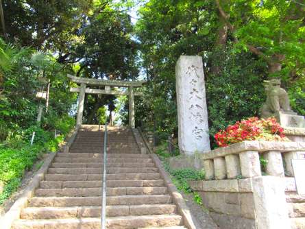 戦前から続く伝統行事！代々木八幡宮の餅つき大会＆節分祭をご紹介！