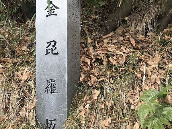 座間の急坂の画像
